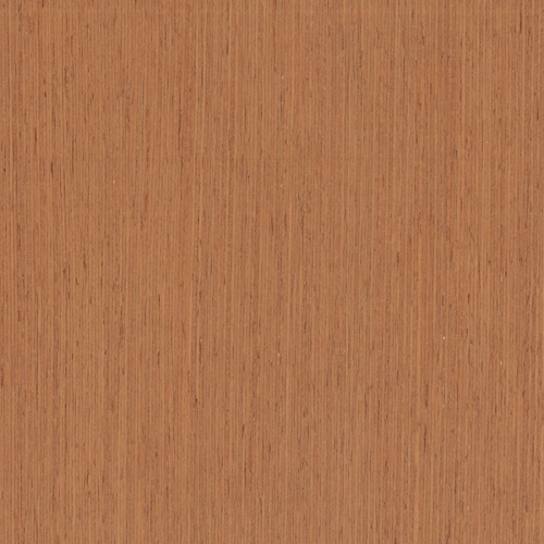 African Mahogany