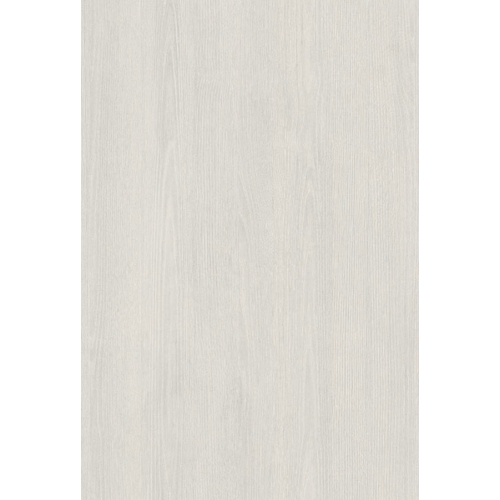 White Frozen Wood
