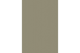 Muted Green