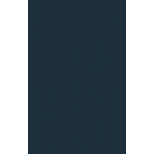 Dark Blue 2D Pet