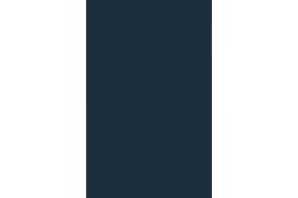 Dark Blue 2D Pet