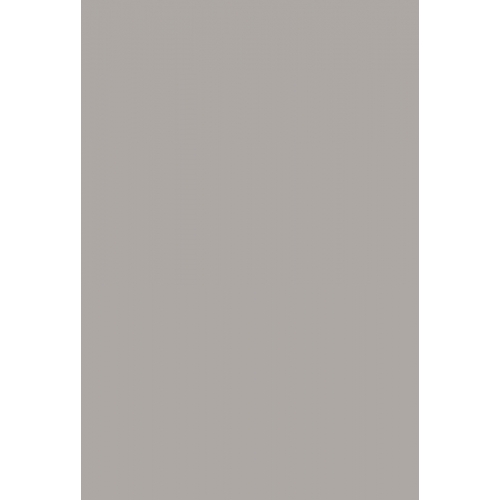 Fog Grey 2D Pet