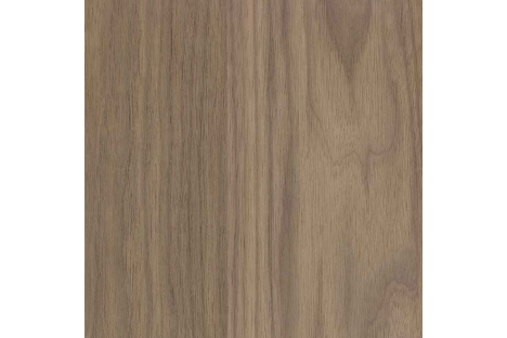 Walnut (Black American)